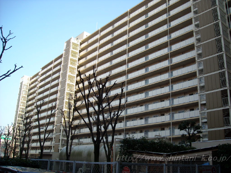 63194画像
